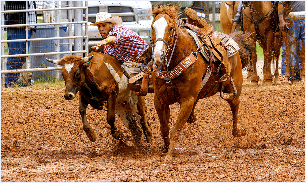 Reaching for the Handles by Ward Conaway (Group 1)